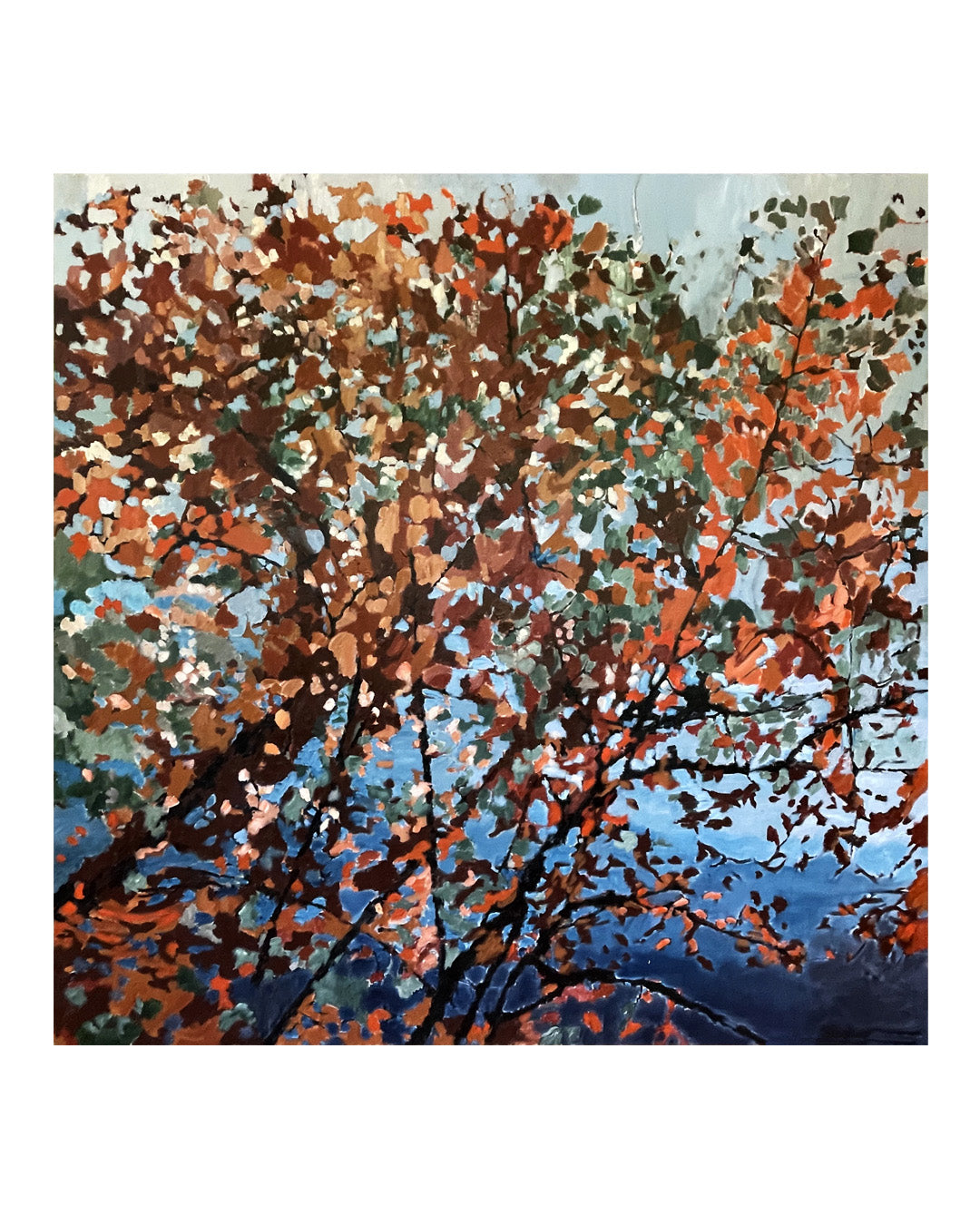 Fall Leaves